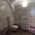 Martinuv Dvur Apartment Plzen