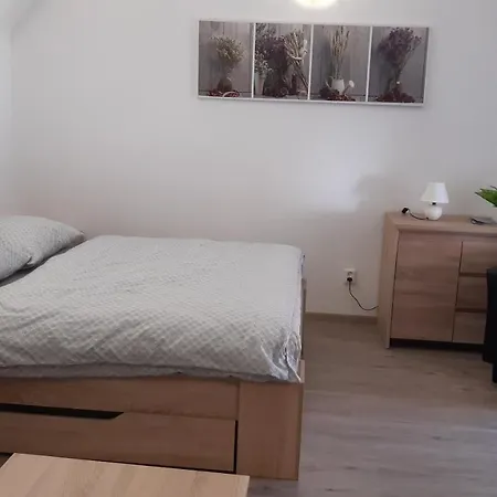 Martinuv Dvur Apartment Pilsen