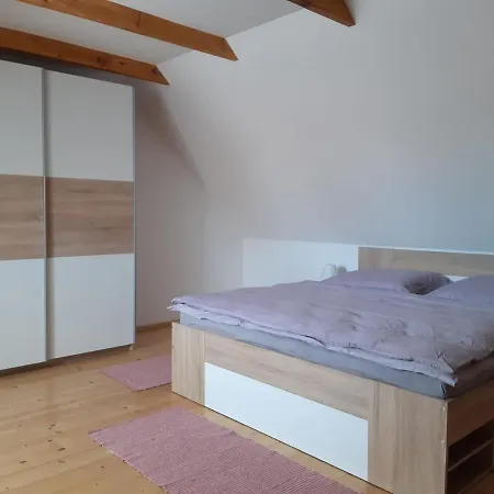 Apartment Martinuv Dvur *