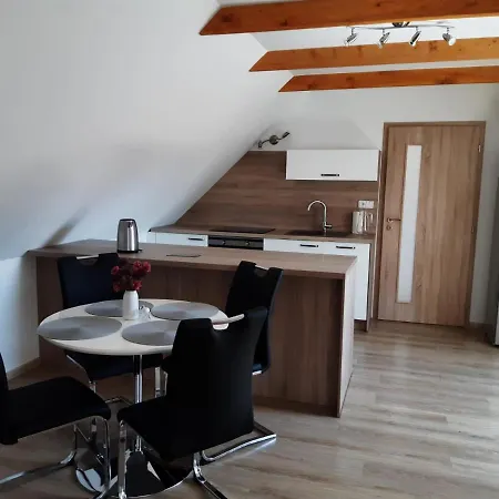 Apartment Martinuv Dvur