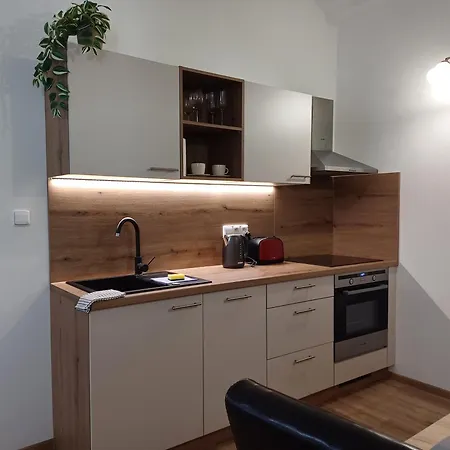 Apartment Martinuv Dvur *