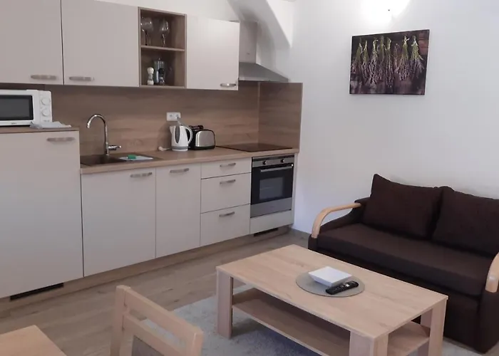 Apartment Martinuv Dvur