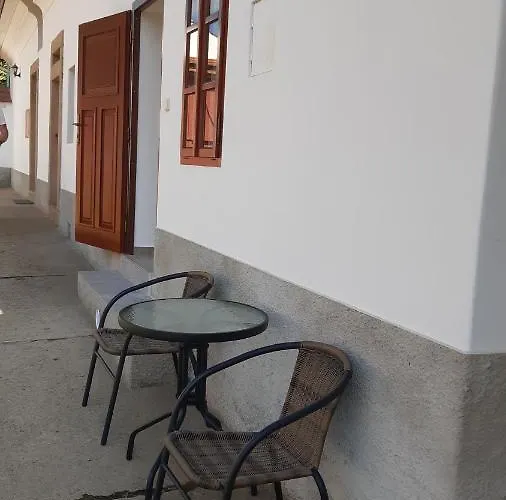 Martinuv Dvur Apartment Plzen