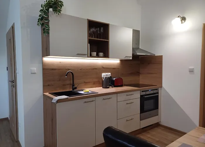 Apartment Martinuv Dvur *