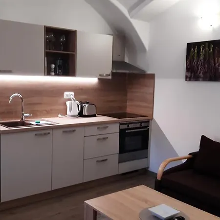 Martinuv Dvur 公寓 *