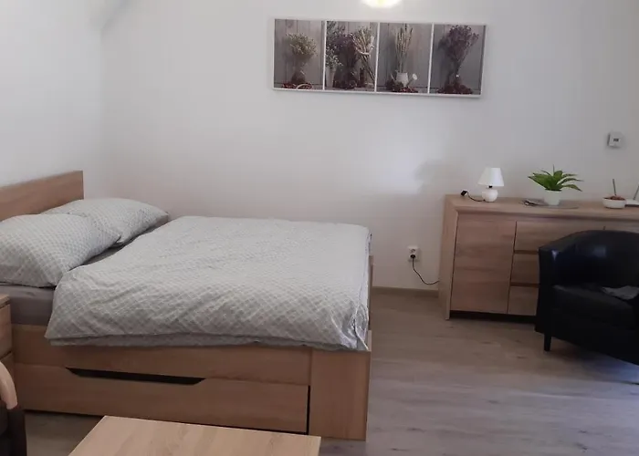 Martinuv Dvur Daire Plzeň